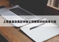 上蔡县复杂美区块链公司哪家好的简单介绍